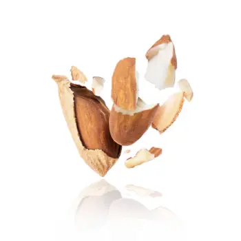 Organic Broken Almond